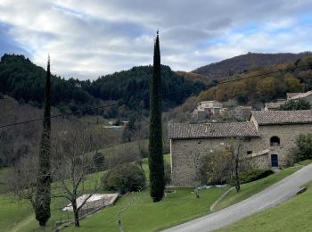 Tour Wandern Meyras - Balade Meyras-Croix des Molières-Le crouset-Hautségur Variante - Photo