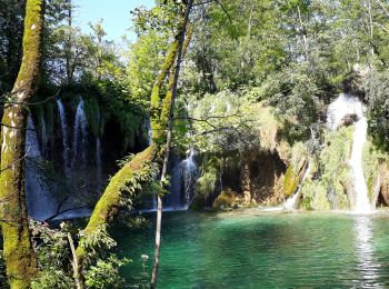 Excursión Senderismo  - Parc National Plitviche 05/08/18 - Photo