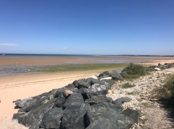 Tour Radtourismus  Ars-en-Ré - 20220704 Île de Re depuis Logis hôtel  - Photo