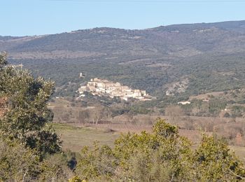 Excursión Senderismo Villegly - Boucle de la Ceize Villegly - Photo