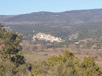 Trail Walking Villegly - Boucle de la Ceize Villegly - Photo