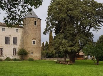 Trail Walking Villalier - boucle Villalier La Mee les cabanes dans les bois - Photo