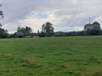 Randonnée Marche Forges-les-Eaux - Forges - Serqueux par voie verte puis campagne - Photo