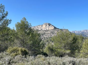 Trail Walking Mérindol - PF-Mérindol - Dessus de Mérindol par les Chemins de l'Apied et des Bouigues - Vallon des Porcs - CP - Photo