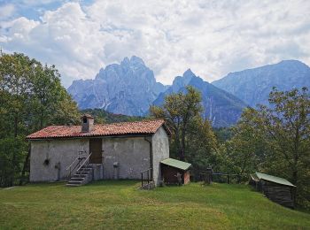 Trail On foot Dogna - IT-602 - Photo