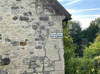 Randonnée Marche Villers-Cotterêts - en forêt de Retz_87_la Laie des Masures par la Route Chrétiennette - Photo