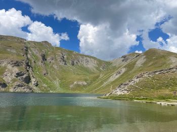 Randonnée Marche Aiguilles - Malrif 2024 - Photo