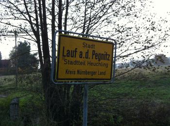 Tour Zu Fuß Neunkirchen a. Sand - Neunkirchen am Sand Rundwanderweg Rot 1 - Photo