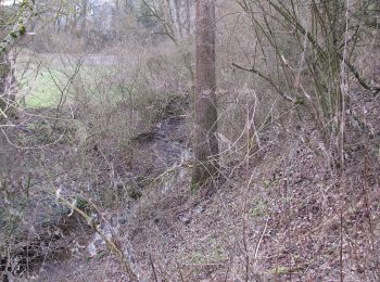 Tour Zu Fuß Fuldatal - Eco-Pfad Simmershausen - Photo