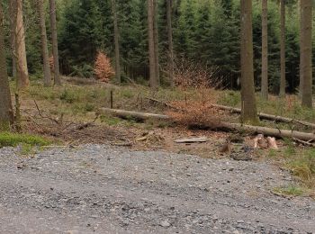 Randonnée Vélo de route La Roche-en-Ardenne - pique nique - Photo