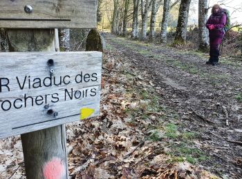 Randonnée Marche Lapleau - viaduc rochers noirs - Photo