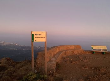 Percorso Marcia Estepona - El pico de los reales - Photo