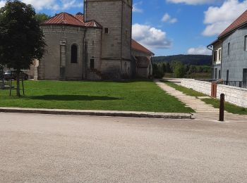 Randonnée Marche Bonlieu - GR_559_AD_04_Bonlieu_Grande-Riviere-Chateau_20210917 - Photo