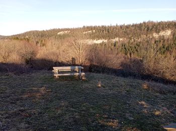 Tocht Stappen Étival - Sentier mont Paradis  - Photo