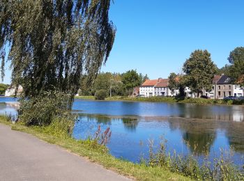 Randonnée Marche Antoing - L'air du grand Large et le bois de Péronnes - Photo