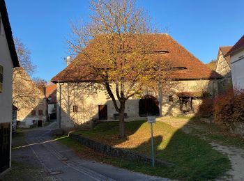 Tocht Te voet Tübingen - DE-AVU 4 - Photo