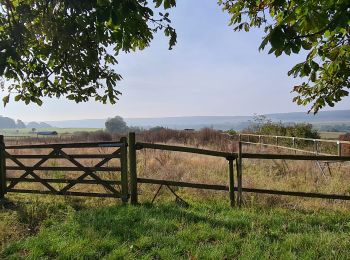 Tour Wandern Lainville-en-Vexin - Balade du 10 octobre 2021 - Photo