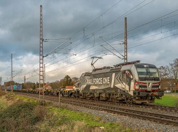 Percorso A piedi Rees - Haldern Rundweg A1 - Photo