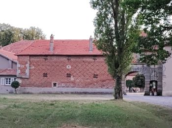 Randonnée Marche Azoudange - Ferme de Milberg - Photo