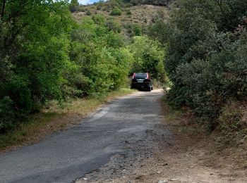 Tour Wandern Montesquieu-des-Albères - les 6 fontaines - Photo