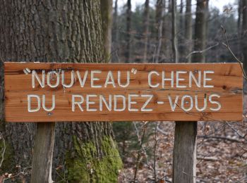 Trail Walking Baelen - 20220320 - Perkiets 7.5 Km - Photo