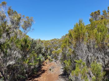 Trail Walking Entre-Deux - Entre-Deux - Sentier Inard (boucle) - Photo