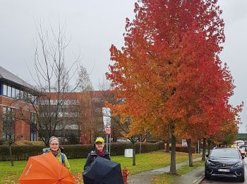 Excursión Senderismo Braine-l'Alleud - 2018-11-29 Braine Rhode Waterloo Braine 23 km - Photo