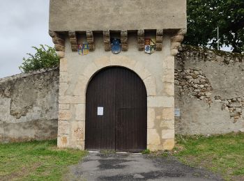 Trail Walking Prades - picacha - Photo