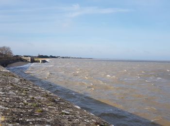 Tour Wandern Le Château-d'Oléron - Oléron  - Photo