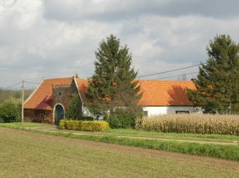 Percorso A piedi Holsbeek - Hagelandse Vallei Rode driehoek - Photo