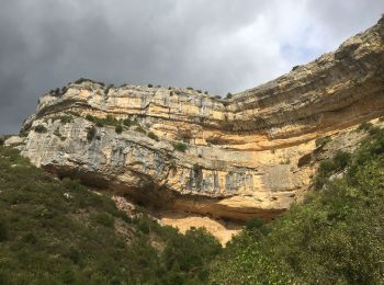 Randonnée Marche Minerve - Minerve - Gorges du Briant par le GR77 - Photo