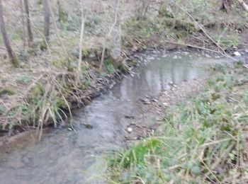 Randonnée Marche Ozouer-le-Voulgis - autour? - Photo