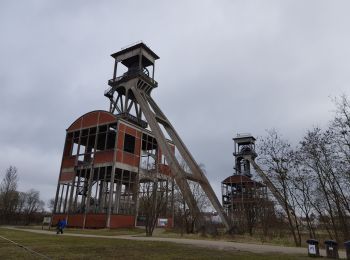 Tour Wandern Maasmechelen - Maasmechelen - Site minier Connecterra - Photo