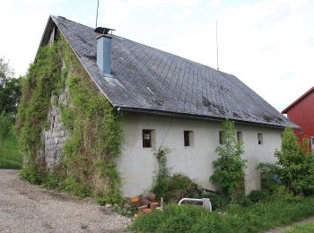 Tocht Te voet Gemeinde Kirchberg an der Pielach - 5/03 Sois-Wanderroute - Photo