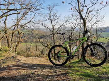 Percorso Mountainbike Le Hom - Les_Trois_Châteaux - Photo