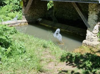 Tour Wandern Dampierre-en-Yvelines - boucle de Maintcours - Photo