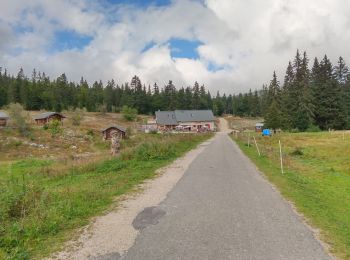 Tocht Stappen Autrans-Méaudre en Vercors - Le Bec de L'Orient - Photo