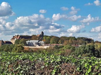 Percorso Marcia Jouy-en-Josas - SityTrail - GRP CV-IDF - Photo