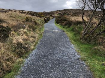 Tocht Stappen Conamara Municipal District - Connemara national park - Photo
