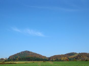 Percorso A piedi Haßfurt - Rund um die Hohe Wann - Photo