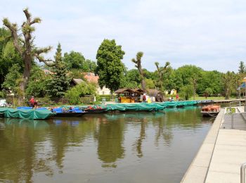 Tocht Te voet Lübbenau/Spreewald - Naturlehrpfad Rund um Lehde - Photo