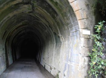 Tocht Te voet  - Remutaka Rail Trail - deviation - Photo