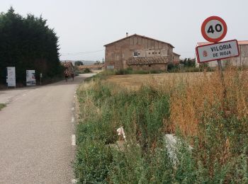 Excursión Senderismo Santo Domingo de la Calzada - Viloria de Rioja - Photo