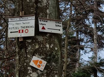 Trail Walking Saint-Hippolyte - ARCA Schaentzel - Photo