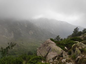 Excursión Senderismo Bocognano - petre Longa partie 1 Aller - Photo