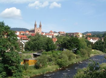 Excursión A pie Forbach - Ziegenpfad - Photo