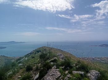 Trail On foot Formia - IT-955 - Photo