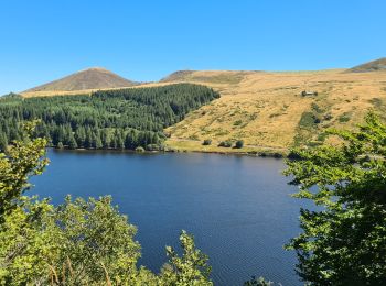 Trail Walking Murat-le-Quaire - source-puygros-lac-cascade-may-banne - Photo