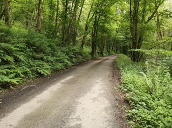 Trail Walking Cuzion - la passerelle de casse cou  - Photo