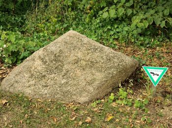 Tour Zu Fuß Unbekannt - Pilgerweg Heidhausen - Essen - Photo